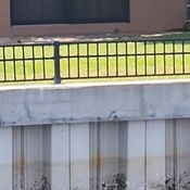 Photo submitted by Cindy