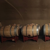 Photo submitted by Teresa