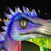 Photo submitted by Stephanie