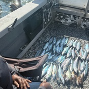 Photo submitted by David