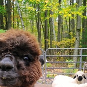 Photo submitted by Kasey