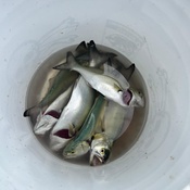 Photo submitted by Karen