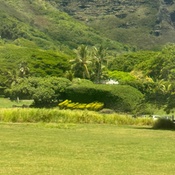 Photo submitted by faye