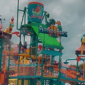 Photo submitted by Ashley