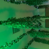 Photo submitted by Anna