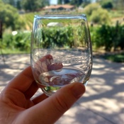 Photo submitted by Lisa