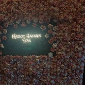 Photo submitted by Sandra