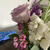 Photo submitted by Jo