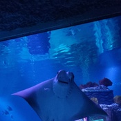 Photo submitted by Zana