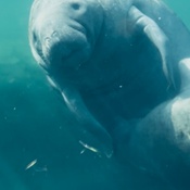 Photo submitted by Rachel