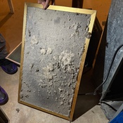 Photo submitted by Katia