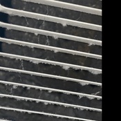 Photo submitted by Frank