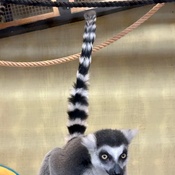 Photo submitted by Beth