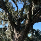 Photo submitted by Nancy