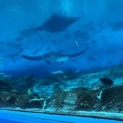 Photo submitted by Bree