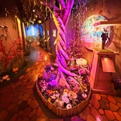 Photo submitted by Guest