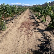 Photo submitted by Kelly