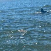 Photo submitted by Carlton