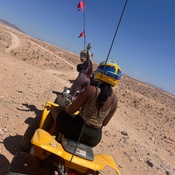 Photo submitted by Guest