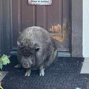 Photo submitted by Emily