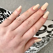 Photo submitted by nisha