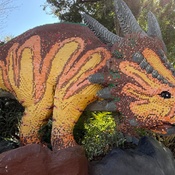 Photo submitted by Kimberlee