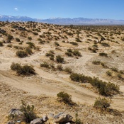 Photo submitted by Faye