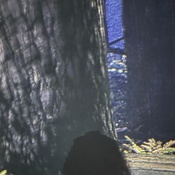 Photo submitted by Tyra