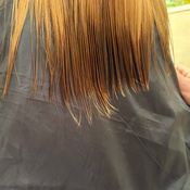 Photo submitted by Julia