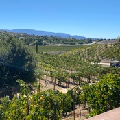 Photo submitted by Ali