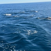 Photo submitted by Diana