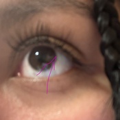 Photo submitted by Leyla