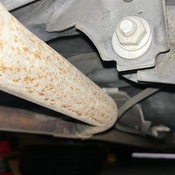 Photo submitted by Guest