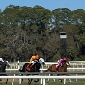 Photo submitted by Cindy