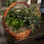 Photo submitted by Cherylle