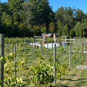 Photo submitted by Mary