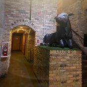 Photo submitted by cyndi