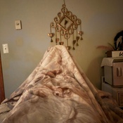 Photo submitted by DeVorah