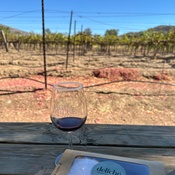 Photo submitted by Vladyslava