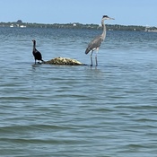 Photo submitted by Tamara