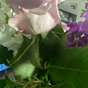 Photo submitted by Jo