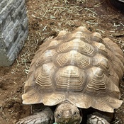 Photo submitted by Tawny