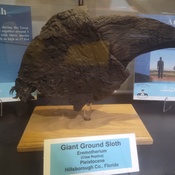 Photo submitted by Kaz