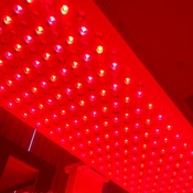 Photo submitted by Tawana