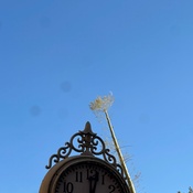 Photo submitted by Jason