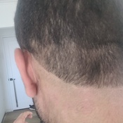 Photo submitted by Mehdi