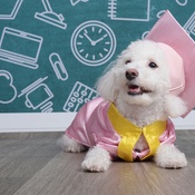 Photo submitted by Jennifer