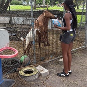 Photo submitted by Chad