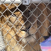 Photo submitted by Janice