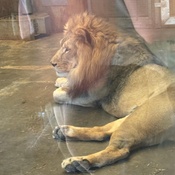 Photo submitted by Kat